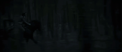 Dark Forest With Blue Light From Ground GIF