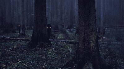 Dark Forest With Glowing Eyes GIF