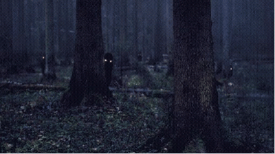 Dark Forest With Glowing Eyes Trees GIF