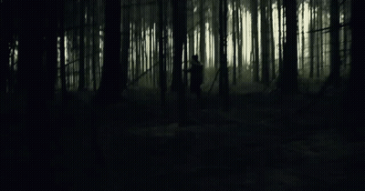 Dark Forest With Trees Silhouetted Against Sunlight GIF