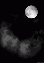 Dark Full Moon