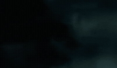 Dark Green Background Saying Take It All GIF