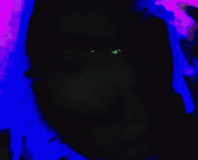 Dark Room With Green Light And Smoke GIF
