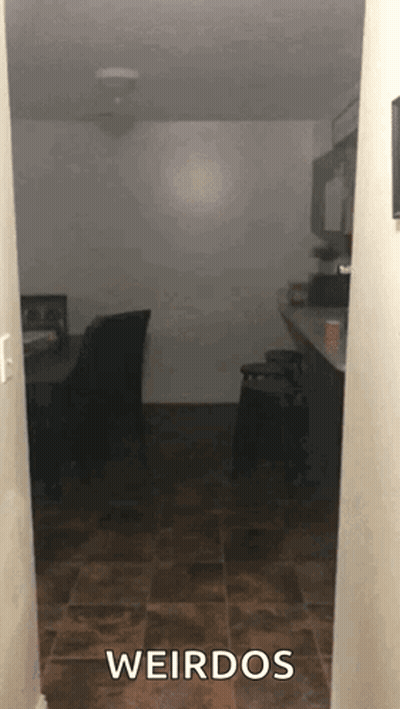 Dark Room With Weirdos GIF