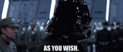 Darth Vader As You Wish Star Wars GIF