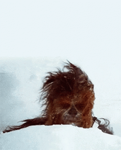 Darth Vader Saying I Find Your Lack Of Faith Disturbing GIF