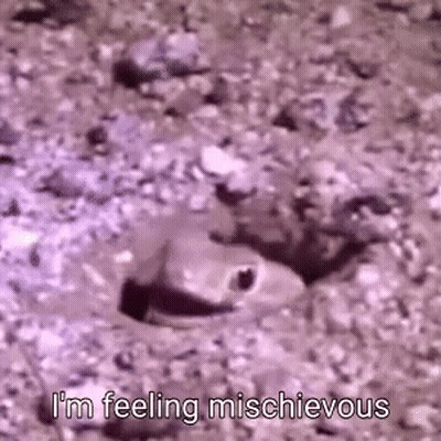 Darwin And Gumball From The Amazing World Of Gumball Standing Together GIF