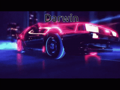 Darwin Name On Car GIF