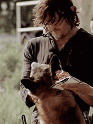 Daryl Dixon Petting Dog GIF