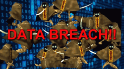 Data Breach Hacker Screen  GIF