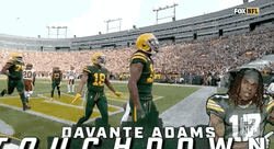 Davante Adams Touch Down GIF