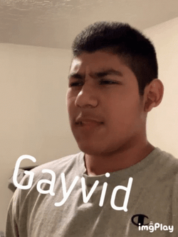 Dave's Not Here Man Man Gayvid GIF