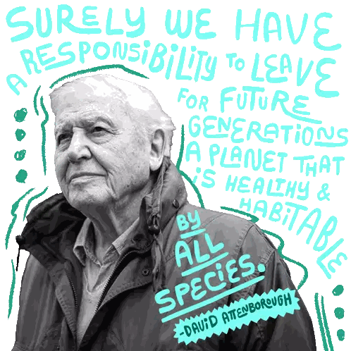 David Attenborough Quote On Responsibility Sticker