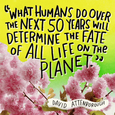 David Attenborough Quote Surrounded By Flowers GIF