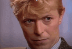 David Bowie Intense Eye Contact GIF