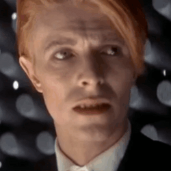 David Bowie Thinking Twice GIF