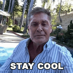 David Hasselhoff Stay Cool GIF