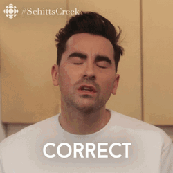 David Rose Awkward Reaction Schitts Creek Correct GIF