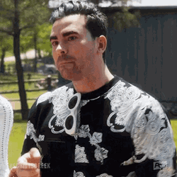 David Rose I'm Sorry Sarcastic GIF