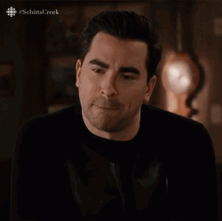 David Rose That's Correct GIF