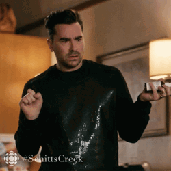 David Rose Wut Are You Talking GIF