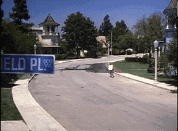 David S Pumpkins Threw Newspaper Threw Coffee GIF