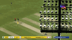 David Warner Cricket Bat Hits GIF
