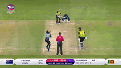David Warner Cricket Happy Heartfelt GIF