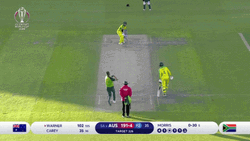 David Warner Cricket Legend Swing GIF