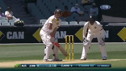 David Warner Cricket Not Out GIF