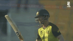 David Warner Cricket Player Bat GIF