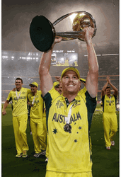 David Warner Cricket Wins GIF