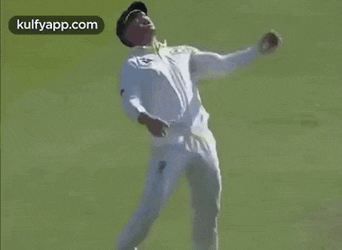 David Warner.Gif GIF