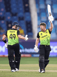 David Warner In Crickets Meme Game GIF