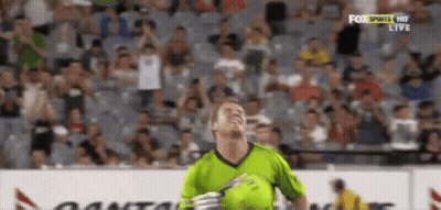 Davidwarner Kingwarnerr GIF