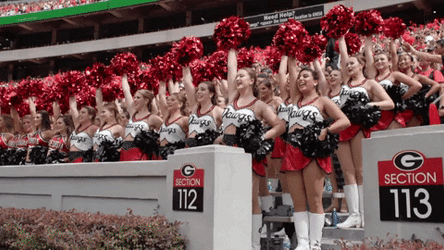 Dawgs Georgia Bulldogs Cheerleading Team GIF