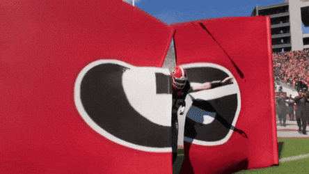 Dawgs Georgia Bulldogs Football Entrance GIF