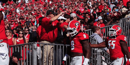 Dawgs Georgia Bulldogs Football Players Entering GIF