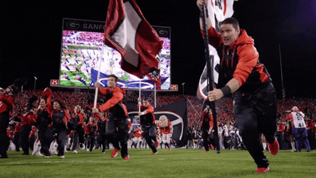 Dawgs Georgia Bulldogs Football Team Running Into Field GIF
