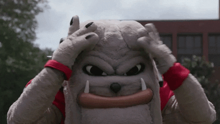 Dawgs Georgia Bulldogs Mascot Jumping GIF