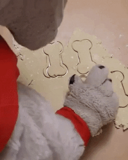 Dawgs Mascot Baking Bone Shaped Cookies GIF