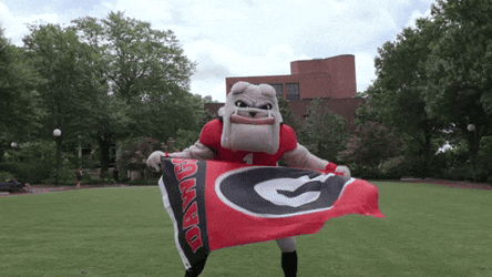 Dawgs Mascot Holding Georgia Bulldogs Flag GIF