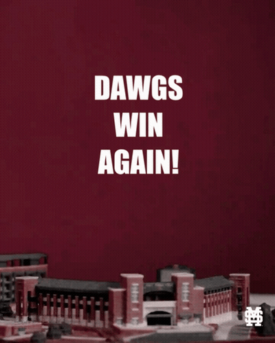Dawgs Win Again Fireworks GIF