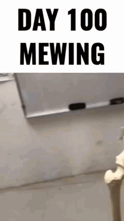 Day 100 Of Mewing Meme GIF