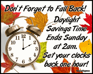 Daylight Savings Time Ends Fall Back GIF