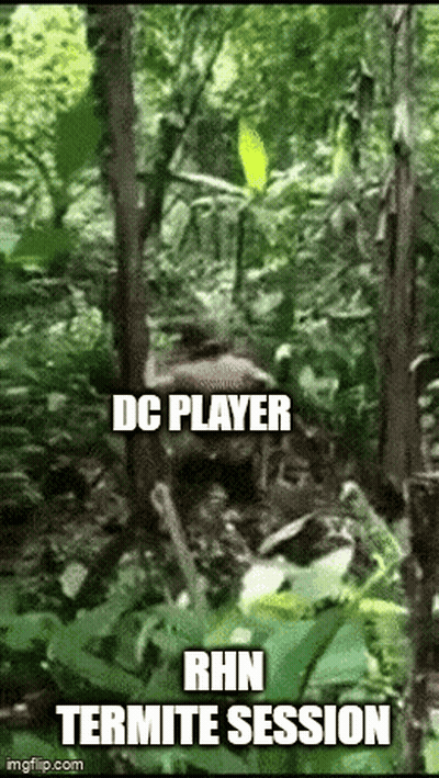 DC Player Rhn Termite Session GIF