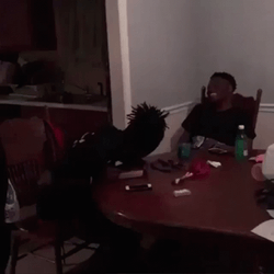 Dc Young Fly Laughing So Hard GIF