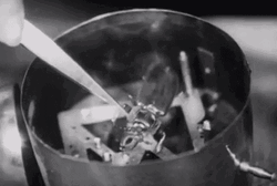 Dead Cockroach Experiment GIF