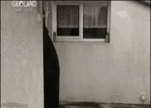 Dead Guy All Black Covered Car  GIF