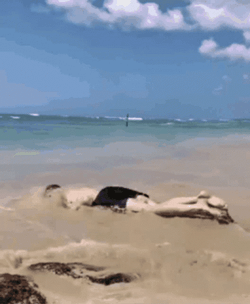 Dead Inside Man Worm Crawl GIF